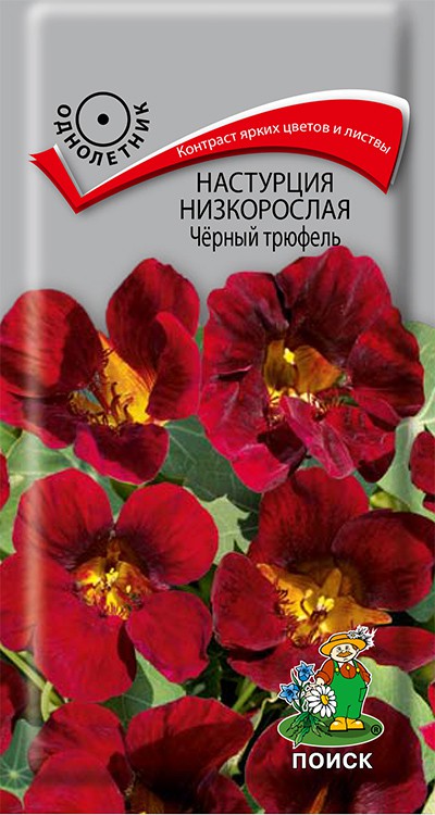 Настурция низкорослая Черный трюфель