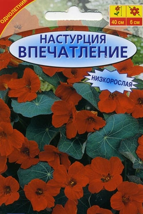 

настурция впечатление семена, настурция впечатление семена купить
