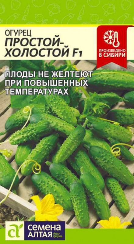 

огурец простой холостой f1 семена, огурец простой холостой f1 семена купить