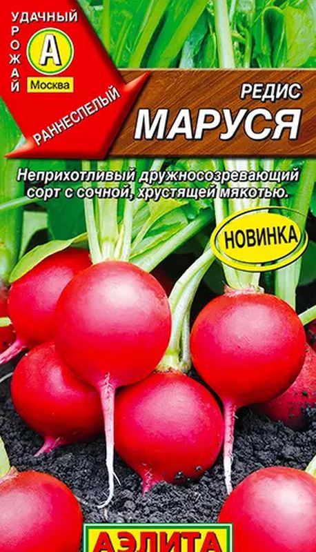 

редис маруся семена, редис маруся семена купить
