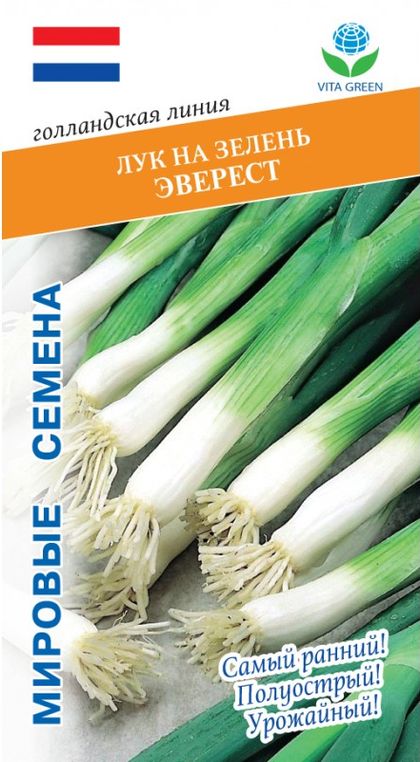 Лук на зелень Эверест