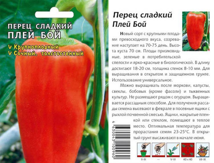 Сладкий перец с толстой стенкой - 7 "мясистых" сортов - Ботаничка