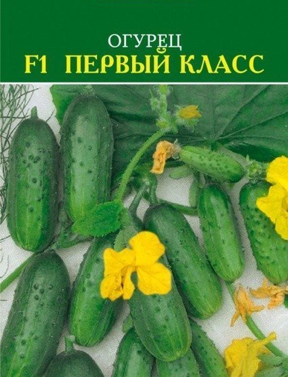 Огурец F1 Первый класс