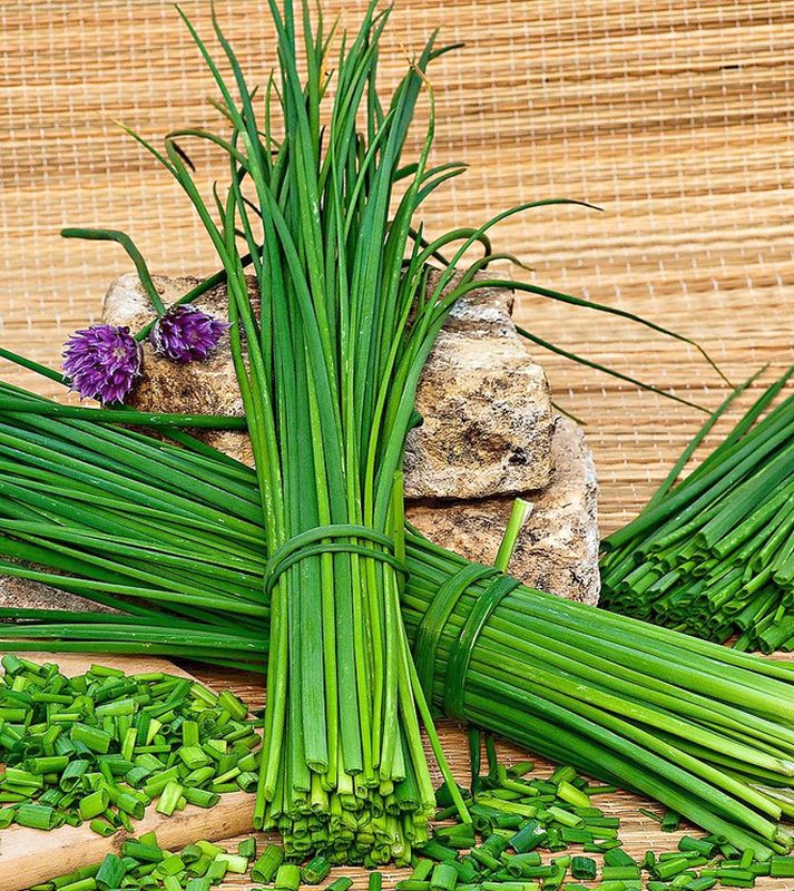 

лук шнитт зимний кустовой семена, лук шнитт зимний кустовой семена купить
