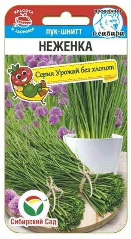 Лук шнитт Неженка