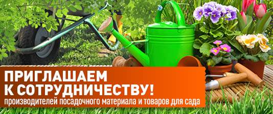 Сотрудничество