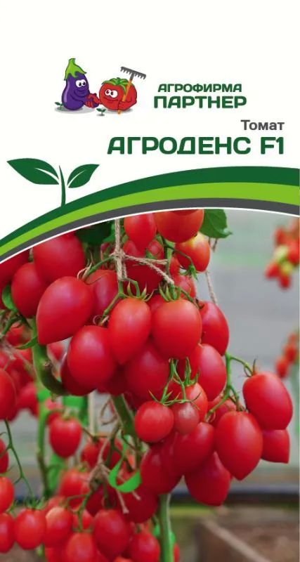 

томат агроденс f1 семена, томат агроденс f1 семена купить