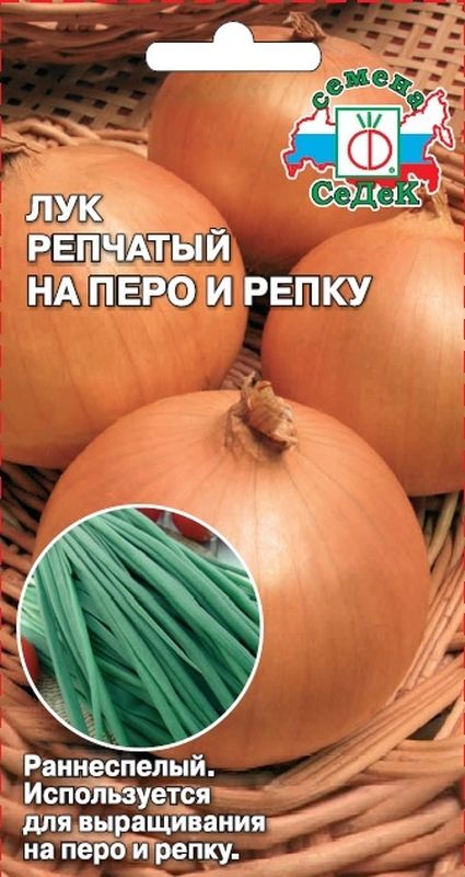 

лук репчатый на перо и репку семена, лук репчатый на перо и репку семена купить