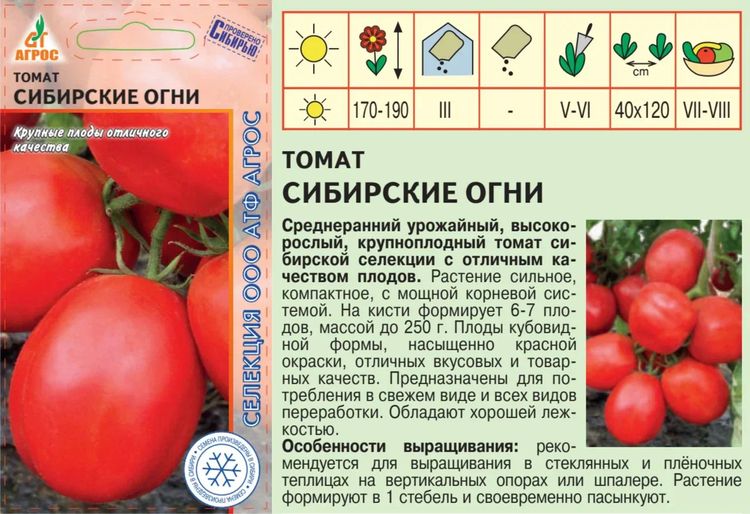 Помидоры Сибирский Описание Сорта Фото