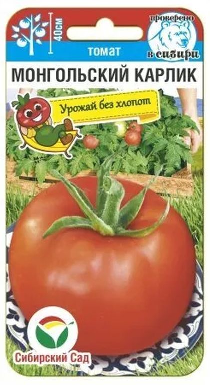 

томат монгольский карлик семена, томат монгольский карлик семена купить