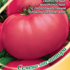 Томат Розовая мечта