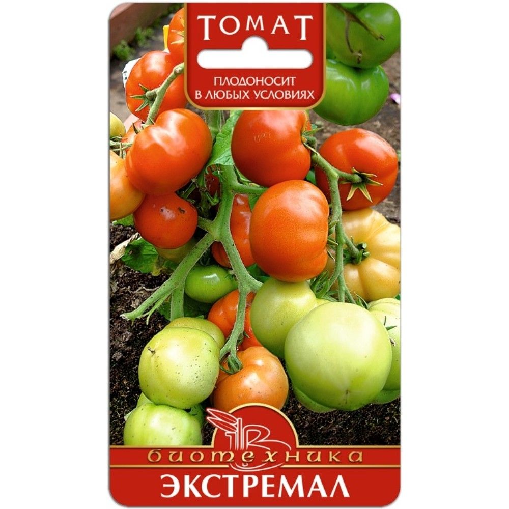 

томат экстремал семена, томат экстремал семена купить