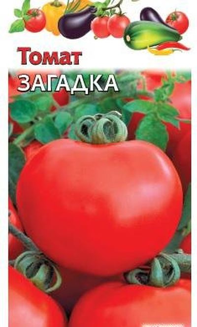 

томат загадка семена, томат загадка семена купить