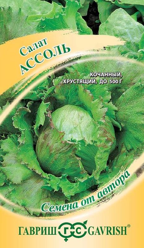 

салат кочанный ассоль семена, салат кочанный ассоль семена купить