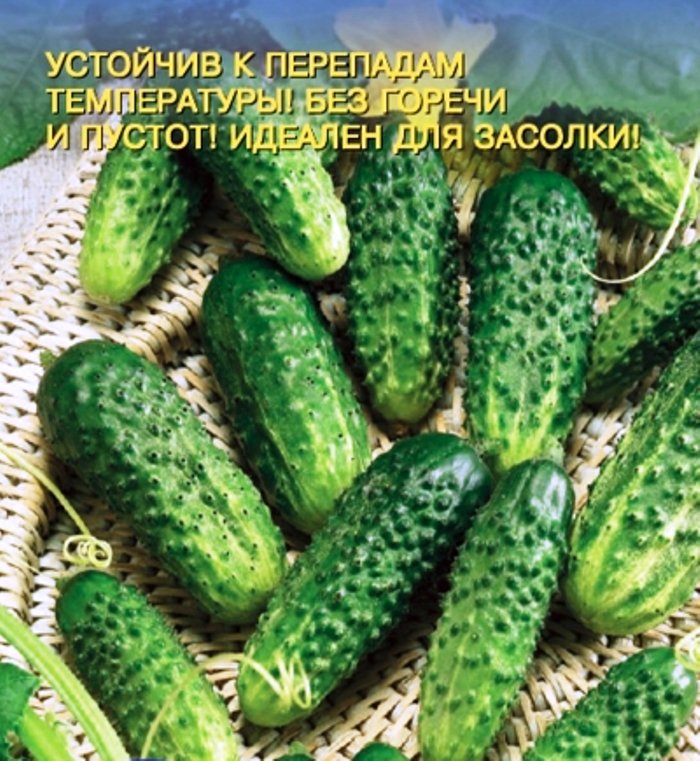 

огурец кудесник - корнишон семена, огурец кудесник - корнишон семена купить
