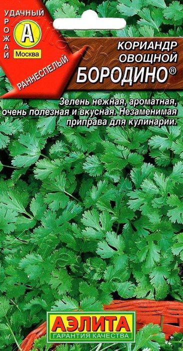 Кориандр овощной Бородино®