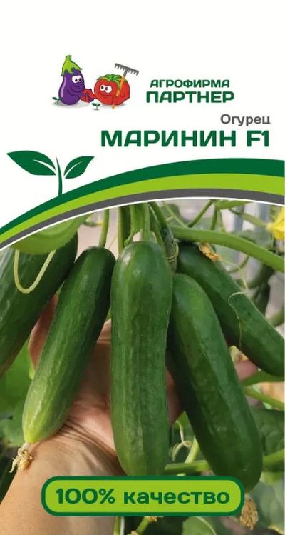

огурец маринин f1 семена, огурец маринин f1 семена купить