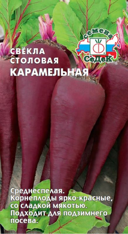 

свекла карамельная семена, свекла карамельная семена купить