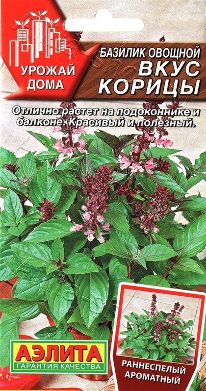 Базилик овощной Вкус корицы