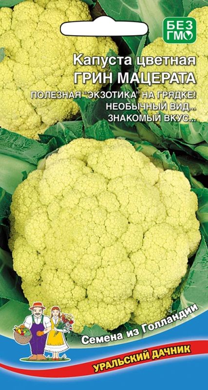 

капуста цветная грин мацерата семена, капуста цветная грин мацерата семена купить