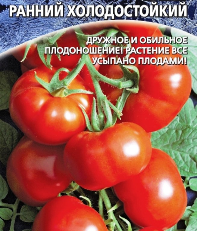 

томат ранний холодостойкий семена, томат ранний холодостойкий семена купить