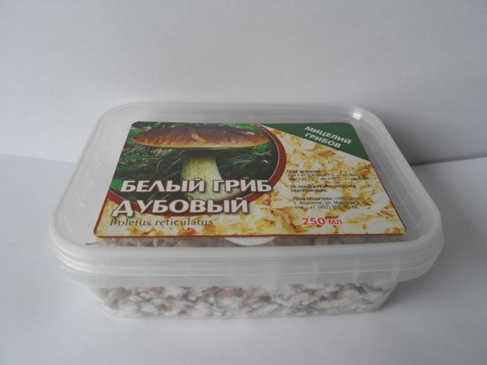 Белый гриб дубовый, 250 мл