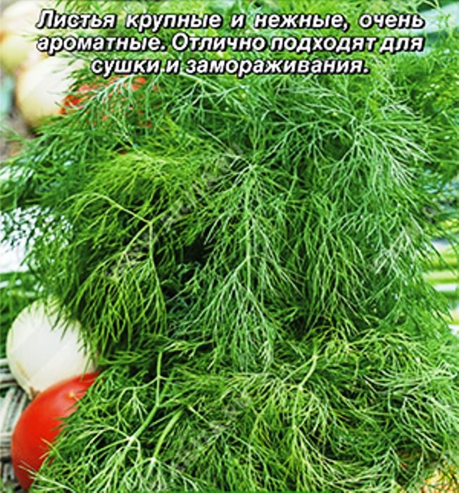 

укроп зеленая аллея ® семена, укроп зеленая аллея ® семена купить
