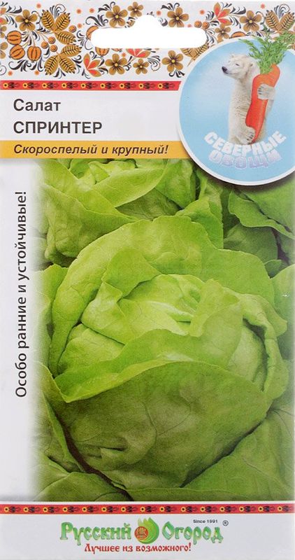 

салат кочанный спринтер семена, салат кочанный спринтер семена купить
