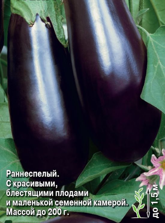 Баклажан Ажур F1 (Евро, 0,1) Седек