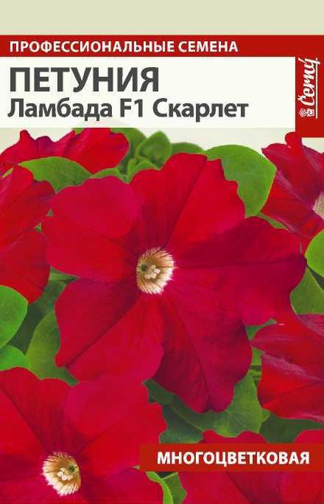 

петуния ламбада скарлет f1 семена, петуния ламбада скарлет f1 семена купить