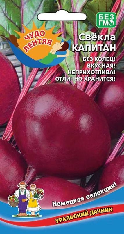 

свекла капитан семена, свекла капитан семена купить
