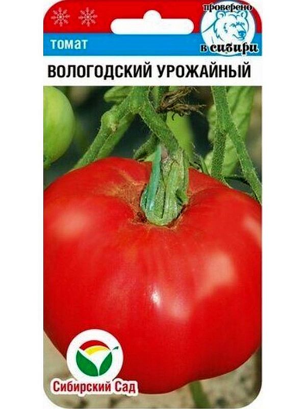 

томат вологодский урожайный семена, томат вологодский урожайный семена купить