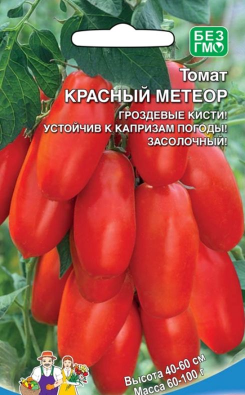

томат красный метеор f1 семена, томат красный метеор f1 семена купить
