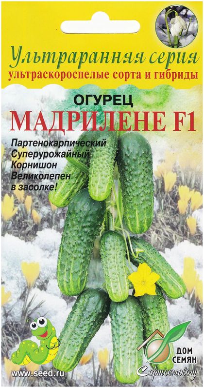 Огурец Мадрилене F1