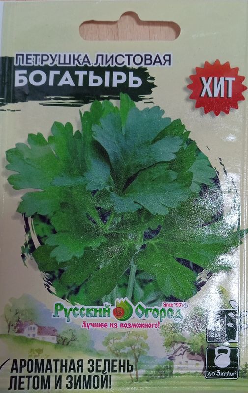 

петрушка листовая богатырь семена, петрушка листовая богатырь семена купить