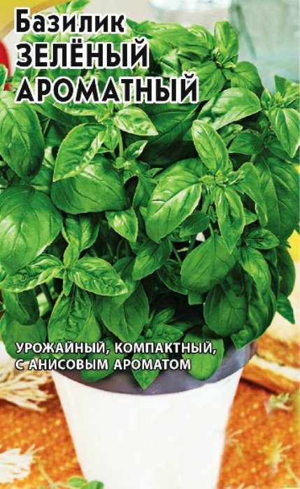 

базилик зеленый ароматный семена, базилик зеленый ароматный семена купить