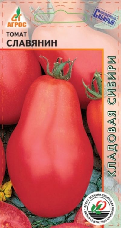 

томат славянин семена, томат славянин семена купить