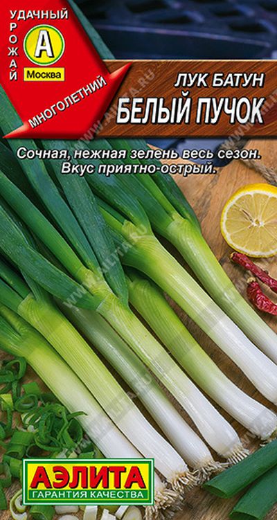 

лук батун белый пучок семена, лук батун белый пучок семена купить
