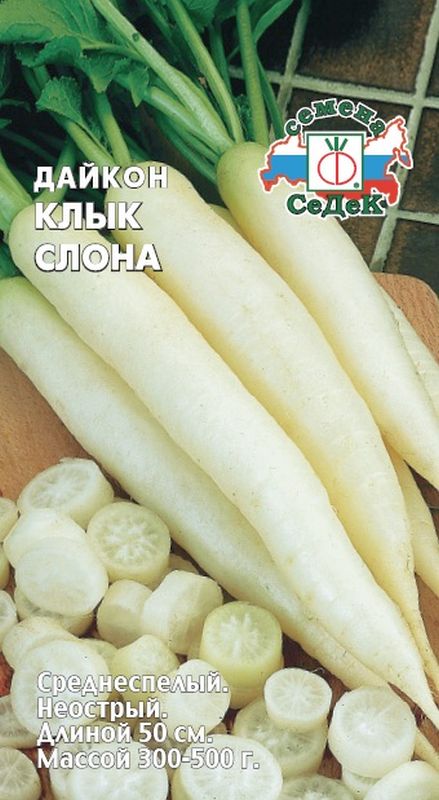

дайкон клык слона семена, дайкон клык слона семена купить