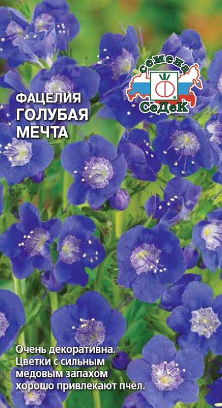 

Фацелия Голубая мечта