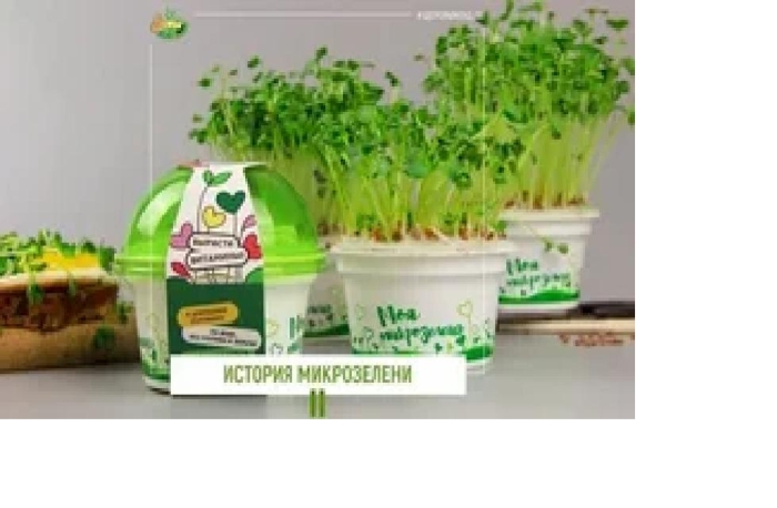 Стакан с семенами Брюквы - набор для выращивания микрозелени 