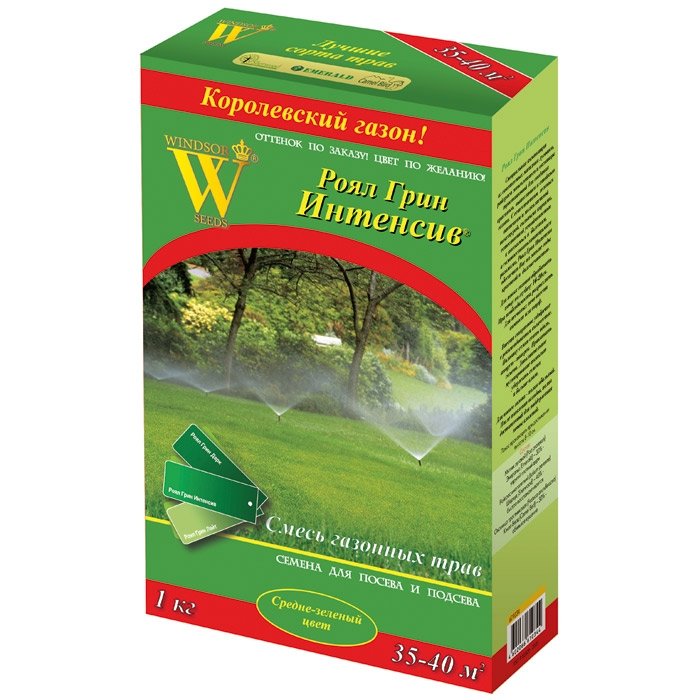 Газонные семена в спб. Газон Masterline «Гольфмастер». Газон семена русский огород. Газонная трава интенсив Грин. Газон Канада Грин фаст.
