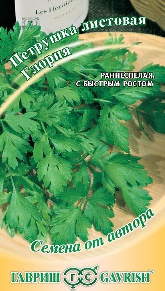 Петрушка листовая Глория