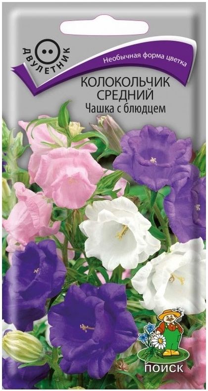Колокольчик средний Чашка с блюдцем