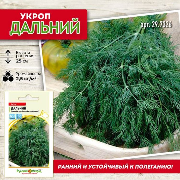 

укроп дальний семена, укроп дальний семена купить