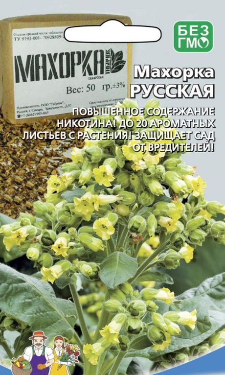 Махорка Русская