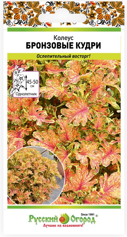 

колеус бронзовые кудри семена, колеус бронзовые кудри семена купить