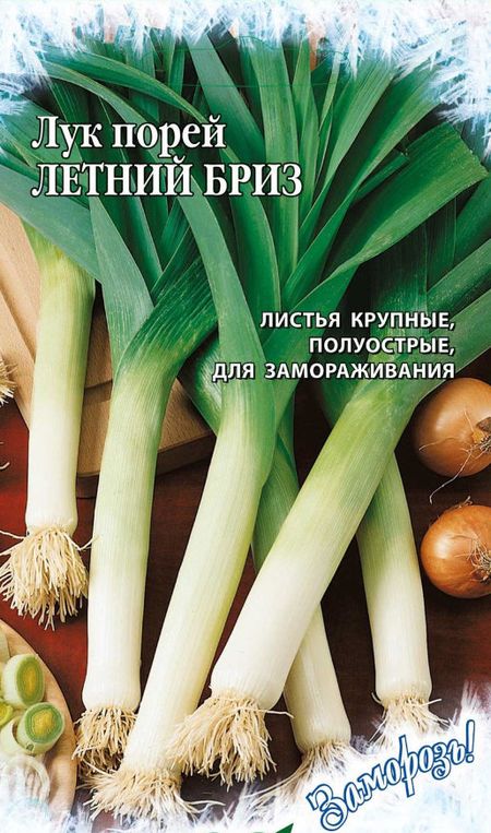 

лук порей летний бриз семена, лук порей летний бриз семена купить