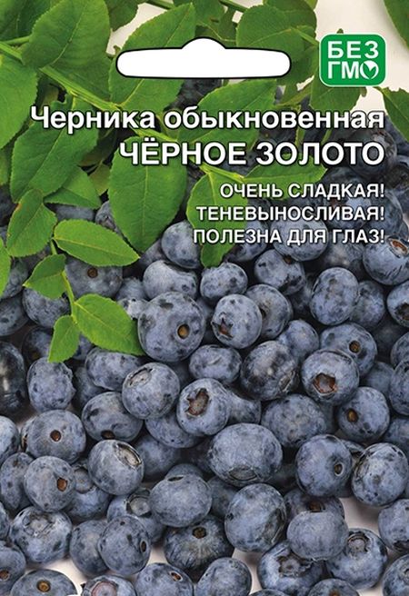 Черника Черное Золото