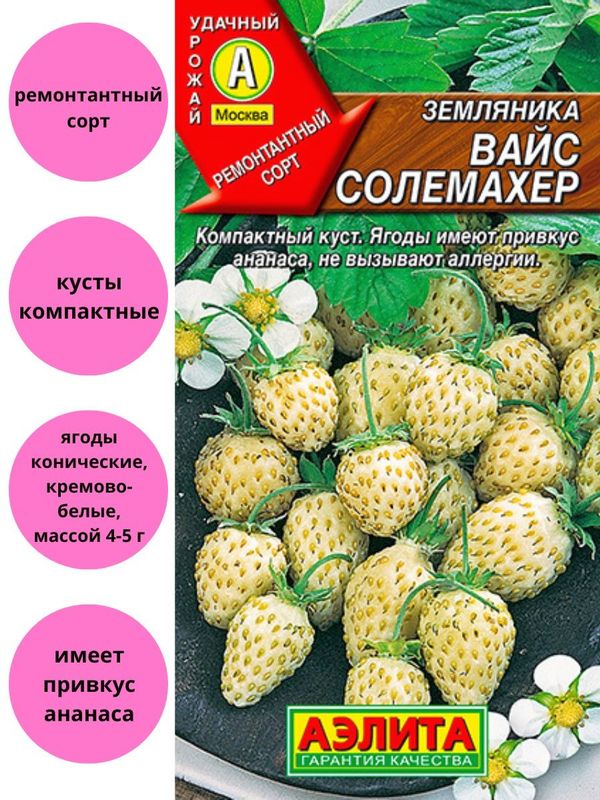 

земляника вайс солемахер (белая) семена, земляника вайс солемахер (белая) семена купить